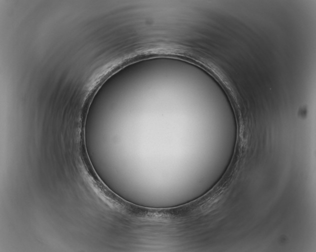 X0000116340437200912151331