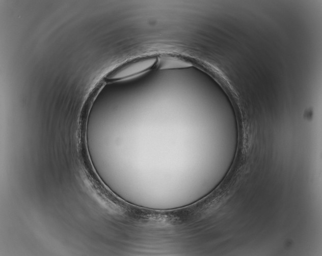 X0000116340439200912151331