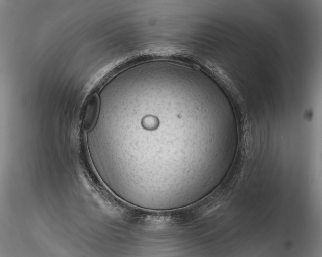 X0000116340440200912151331