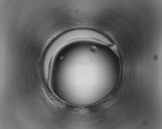 X0000116340443200912151332