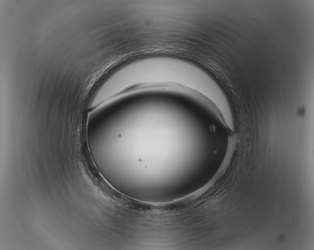 X0000116340444200912151332