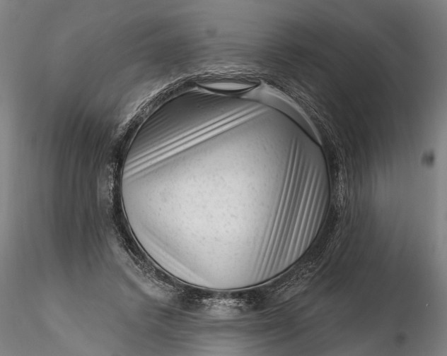 X0000116340448200912151332