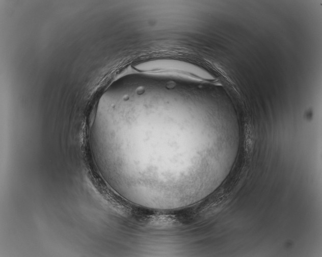 X0000116340451200912151332