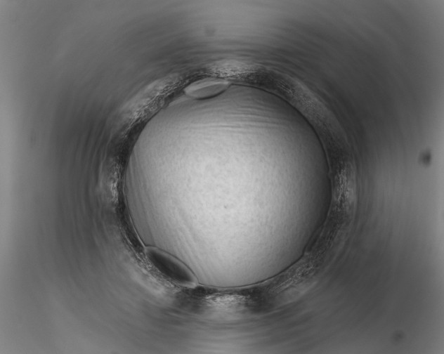 X0000116340452200912151332