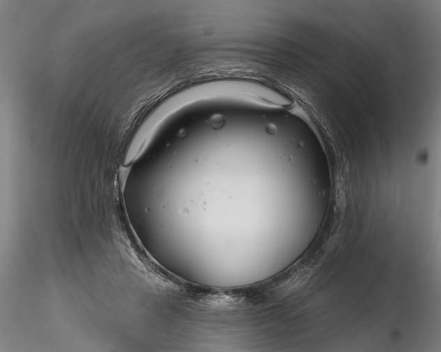 X0000116340453200912151332