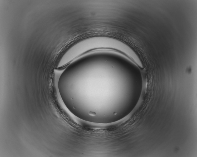 X0000116340456200912151332