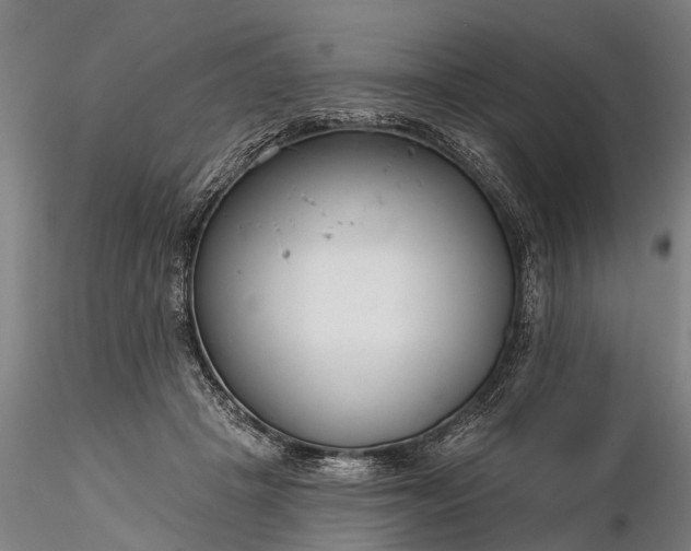 X0000116340457200912151332