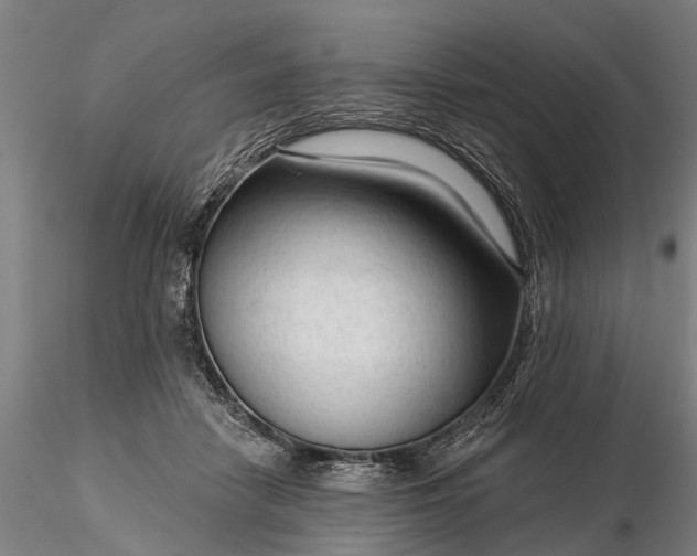 X0000116340458200912151332