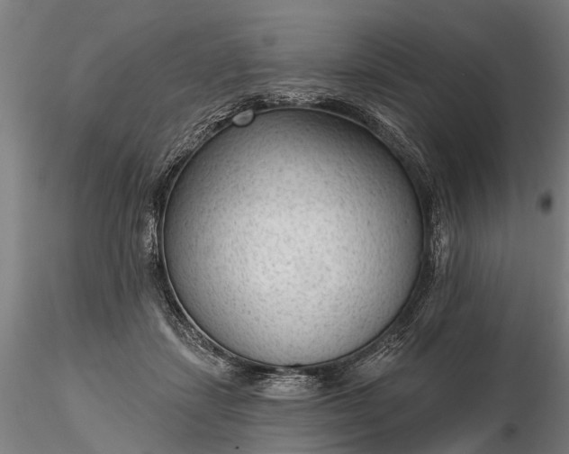 X0000116340459200912151332