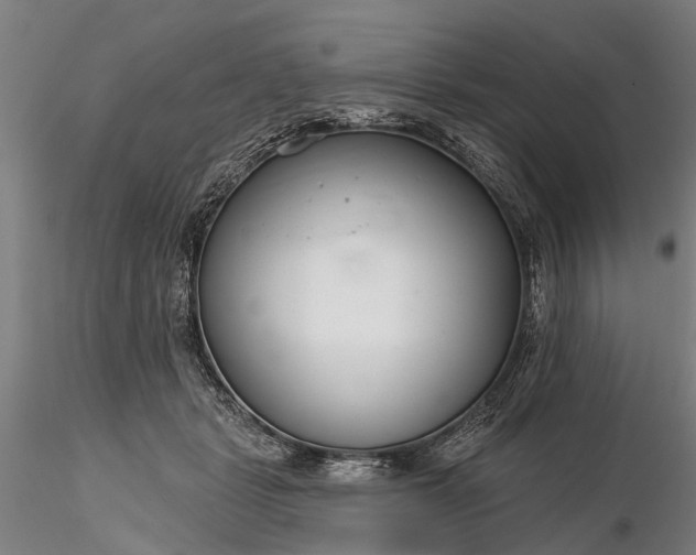 X0000116340461200912151332