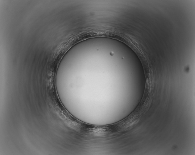 X0000116340462200912151332