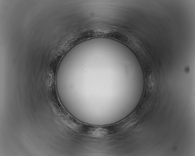 X0000116340463200912151332