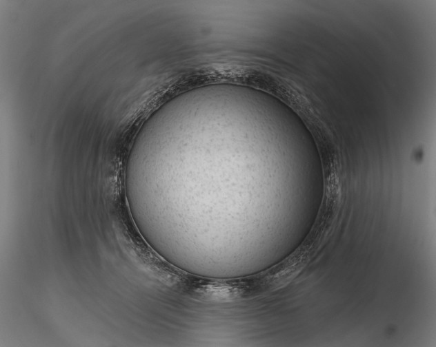 X0000116340464200912151332