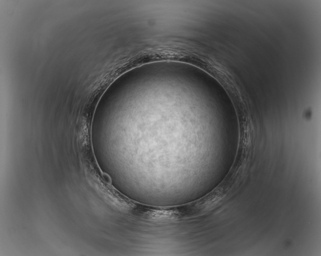 X0000116340465200912151332