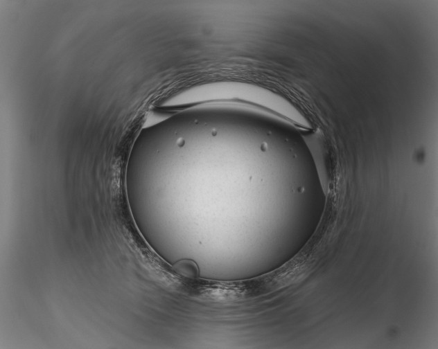 X0000116340466200912151332