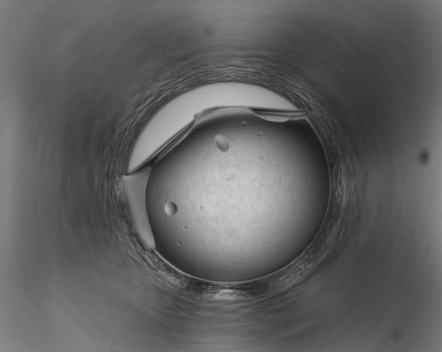 X0000116340467200912151332