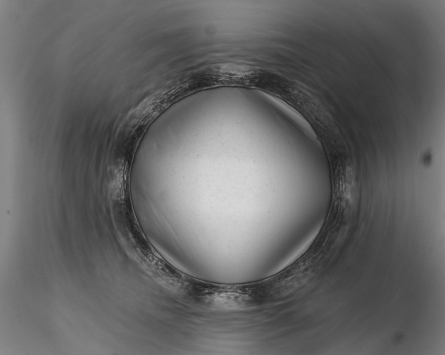 X0000116340468200912151332