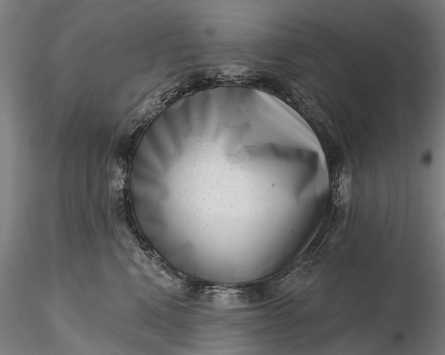 X0000116340472200912151332