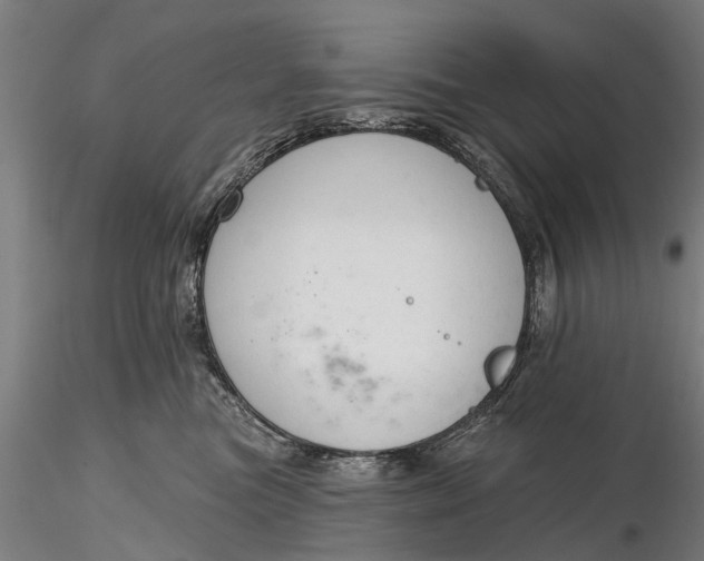 X0000116340473200912151332