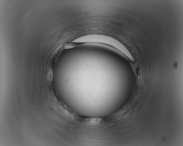 X0000116340474200912151332