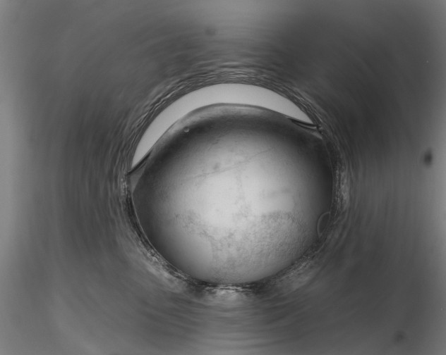 X0000116340475200912151332