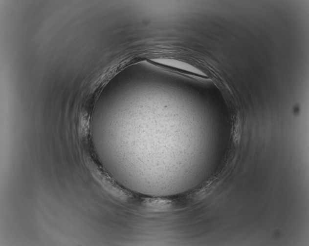 X0000116340476200912151332