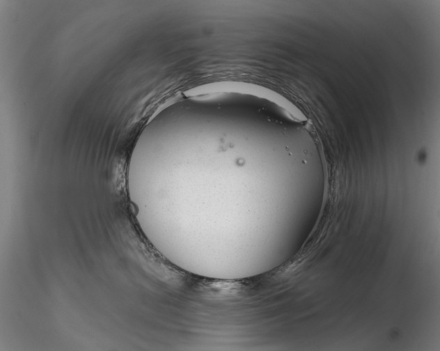 X0000116340478200912151332