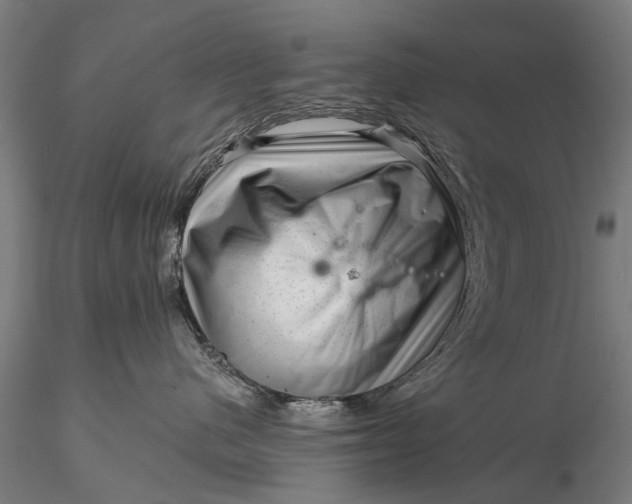 X0000116340480200912151332