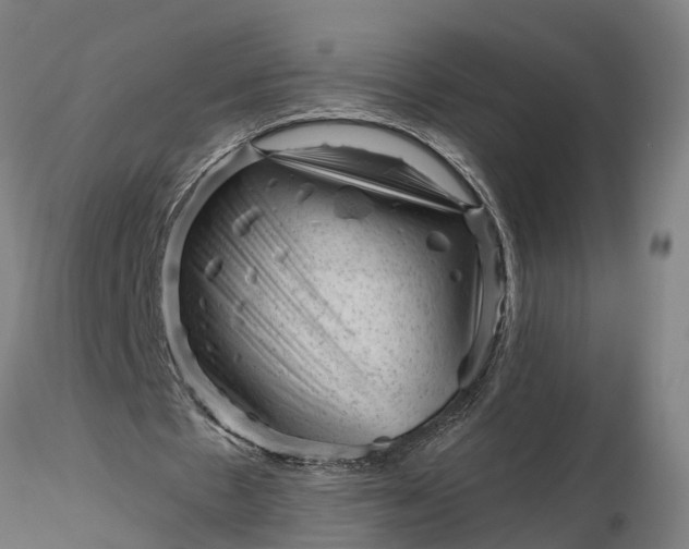 X0000116340481200912151331