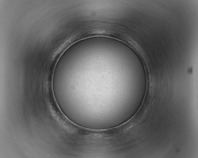 X0000116340482200912151331