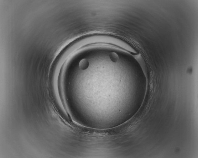 X0000116340484200912151331