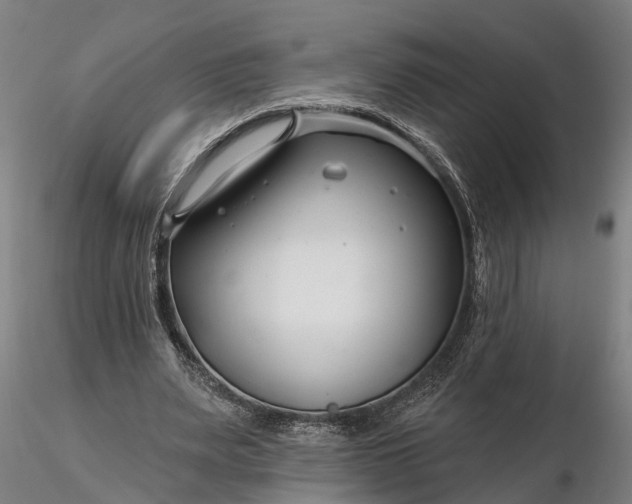 X0000116340487200912151331