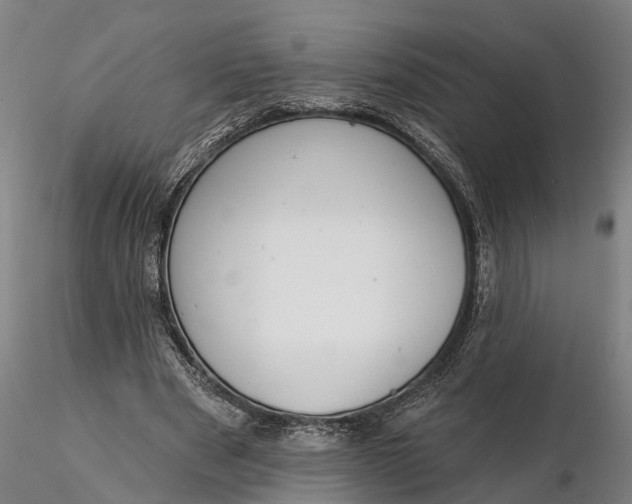 X0000116340489200912151331