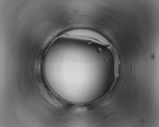 X0000116340491200912151331