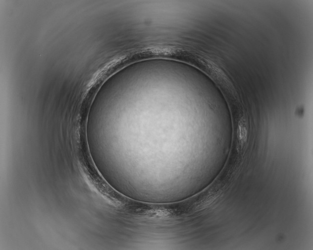 X0000116340492200912151331