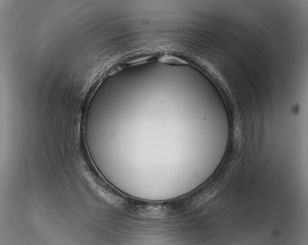 X0000116340493200912151331