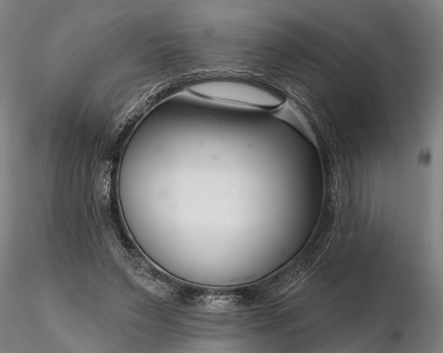 X0000116340495200912151331