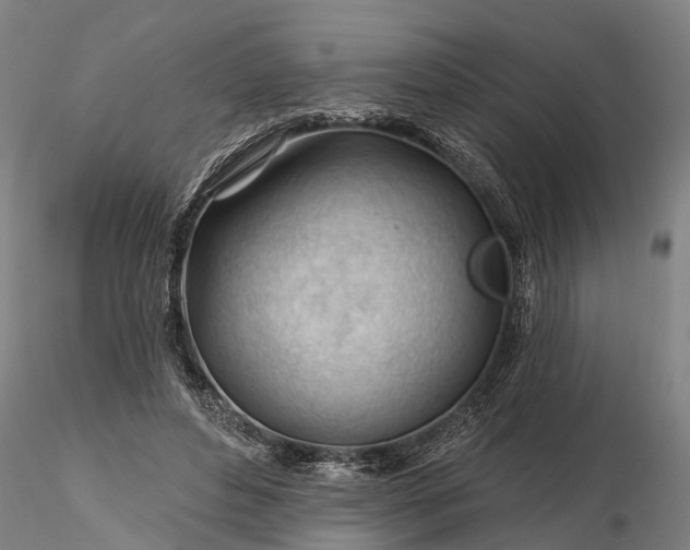 X0000116340496200912151331