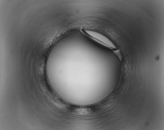 X0000116340499200912151331