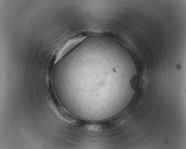 X0000116340500200912151331