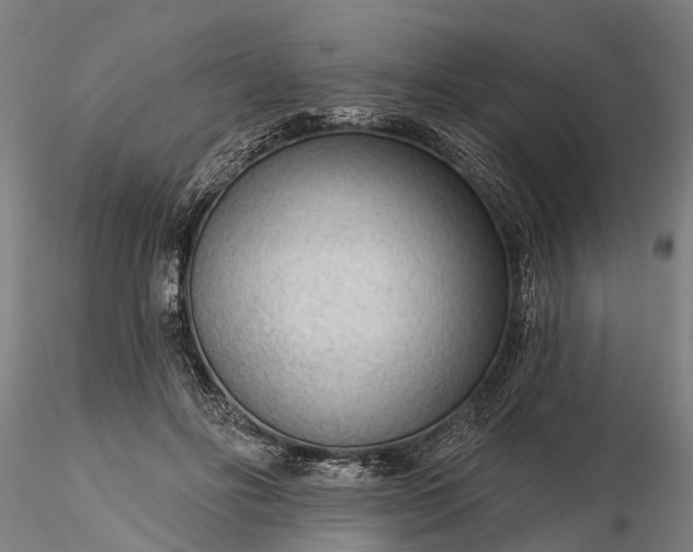 X0000116340502200912151331