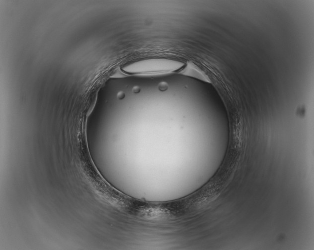 X0000116340503200912151331