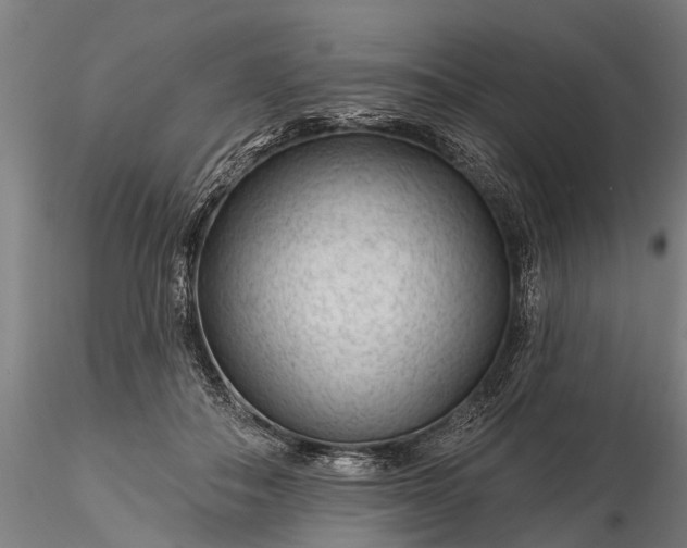 X0000116340506200912151331