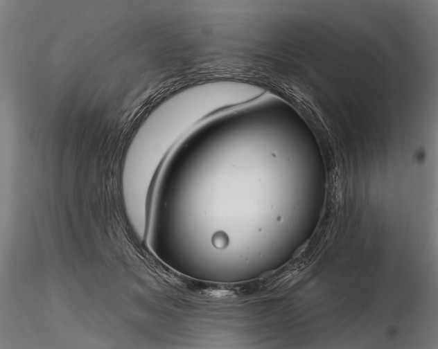 X0000116340509200912151331