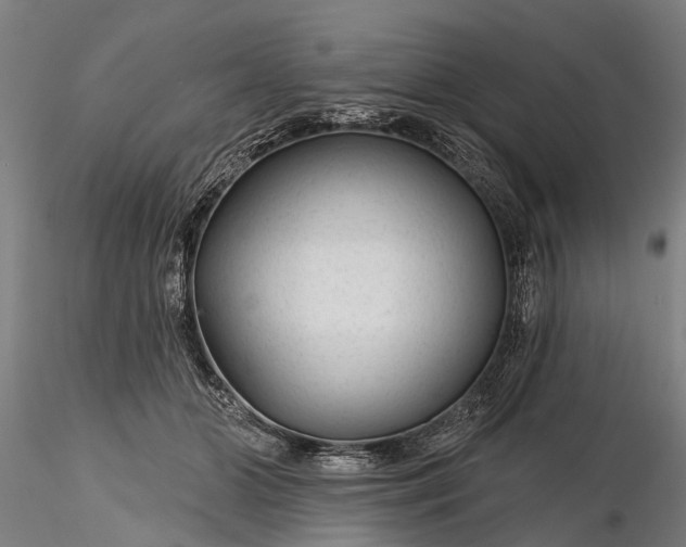 X0000116340510200912151331