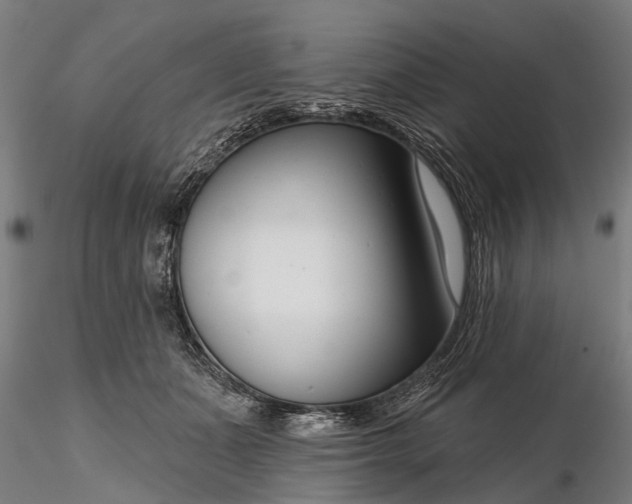 X0000116340511200912151331