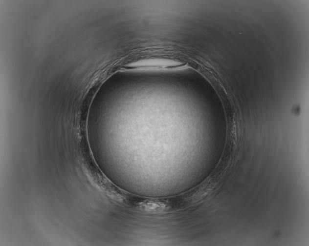 X0000116340512200912151331