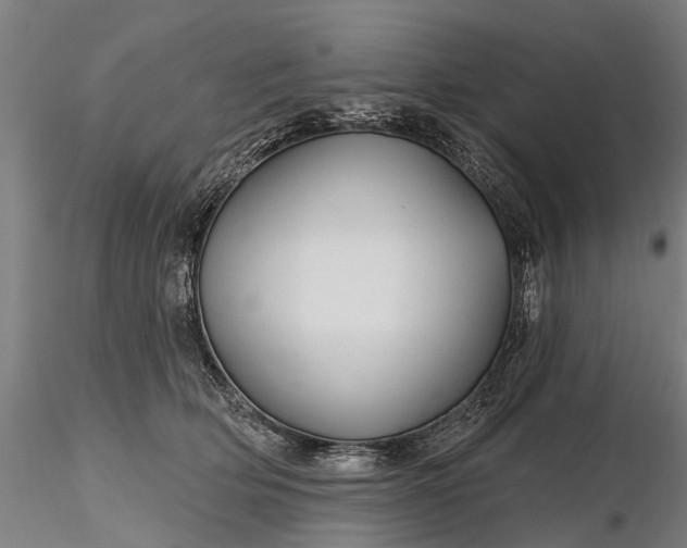 X0000116340514200912151331