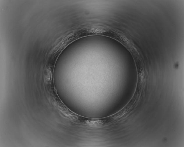 X0000116340517200912151331