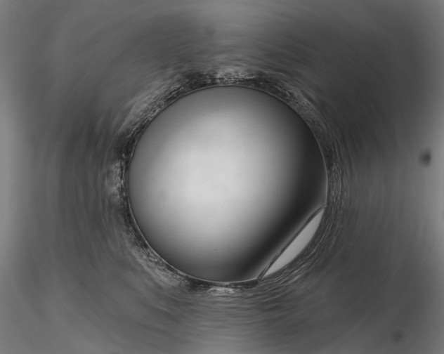 X0000116340519200912151331